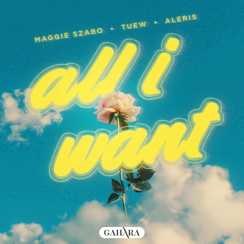 All I Want – Single