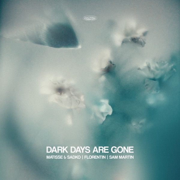 Dark Days Are Gone (feat. Sam Martin) – Single