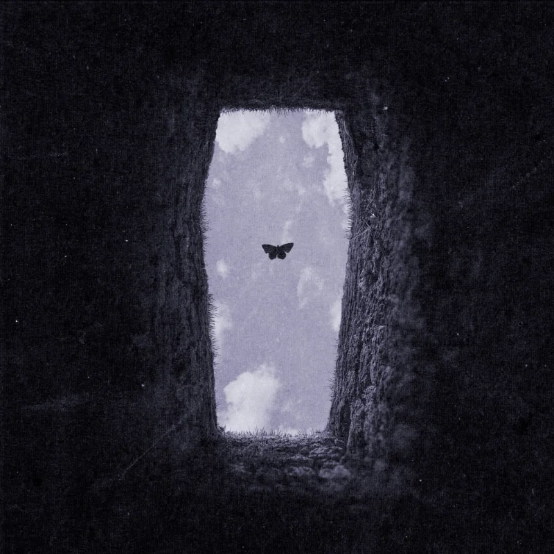 Die for You (feat. Neoni) – Single