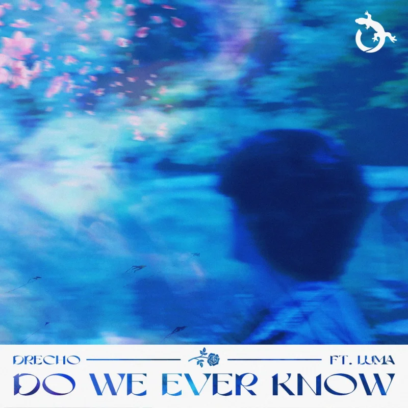 Do We Ever Know (feat. Luma) – Single