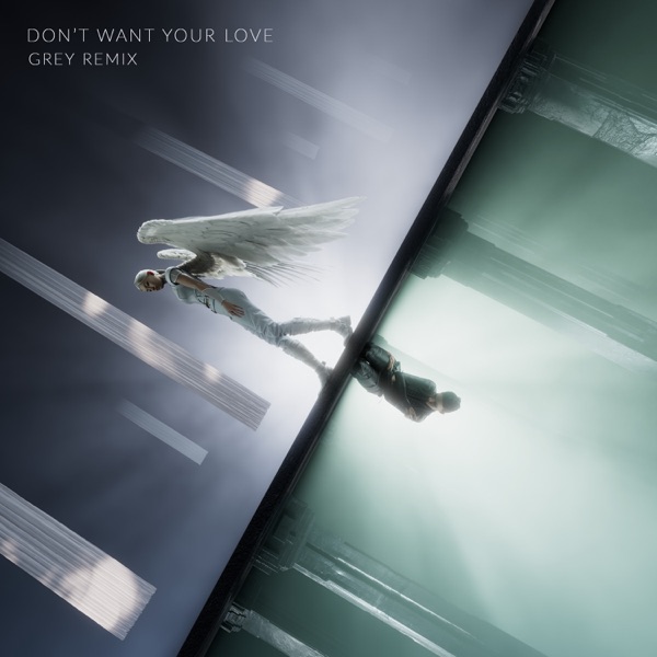 Don’t Want Your Love (Grey Remix) [feat. Ellie Goulding] – Single
