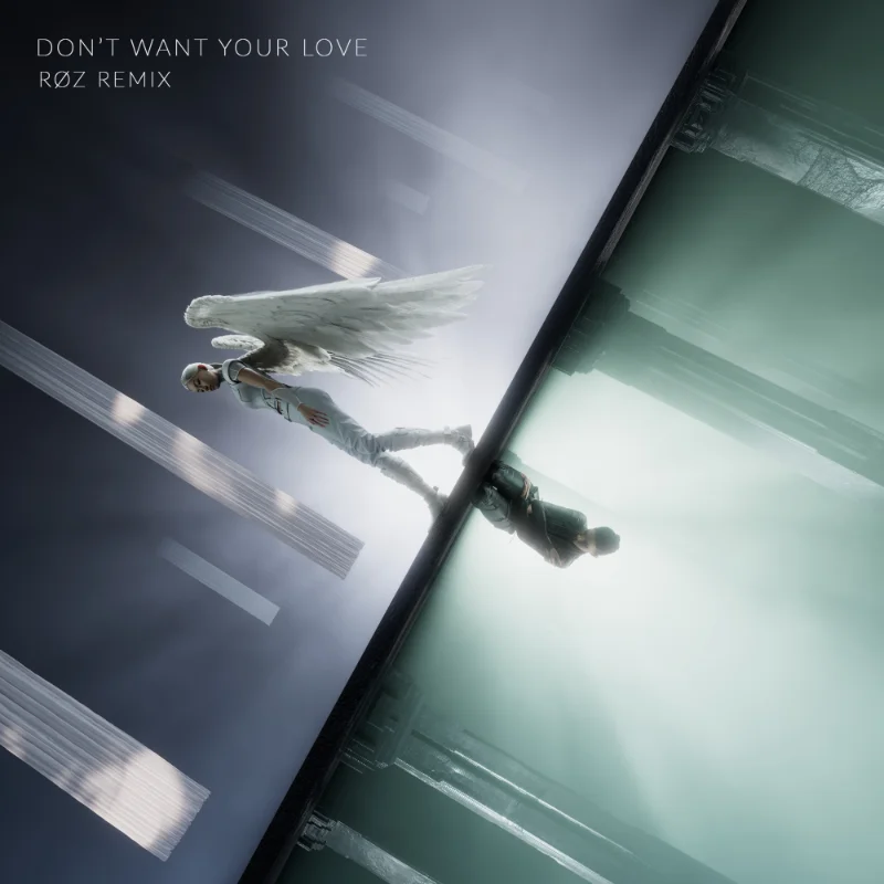 Don’t Want Your Love (RØZ Remix) [feat. Roz & Ellie Goulding] – Single