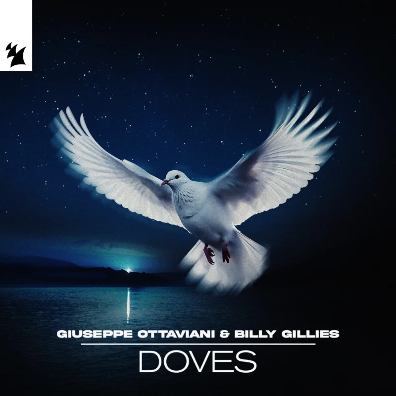Doves – Single