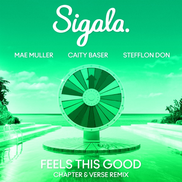 Feels This Good (Chapter & Verse Remix) [feat. Stefflon Don] – Single