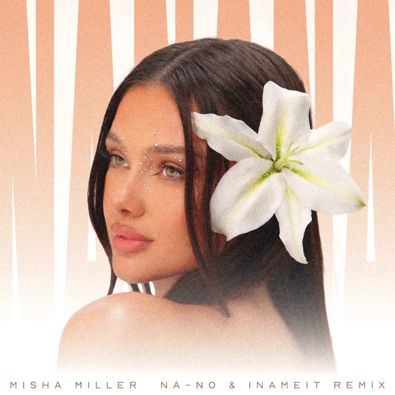 Hey NaNaNa (Na-No & Inameit Remix) – Single