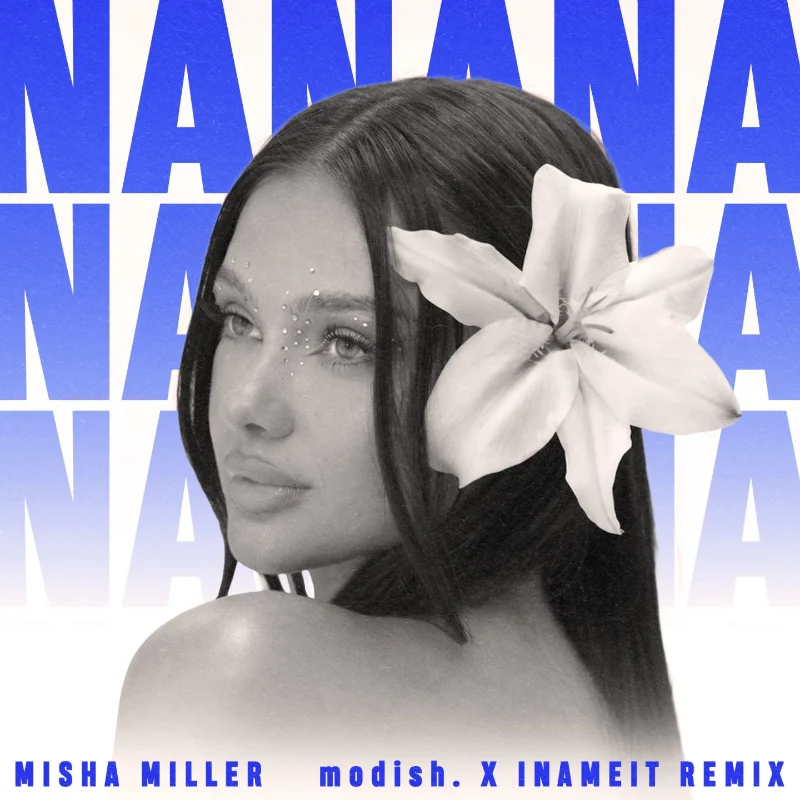 Hey NaNaNa (modish. & INAMEIT Remix) – Single