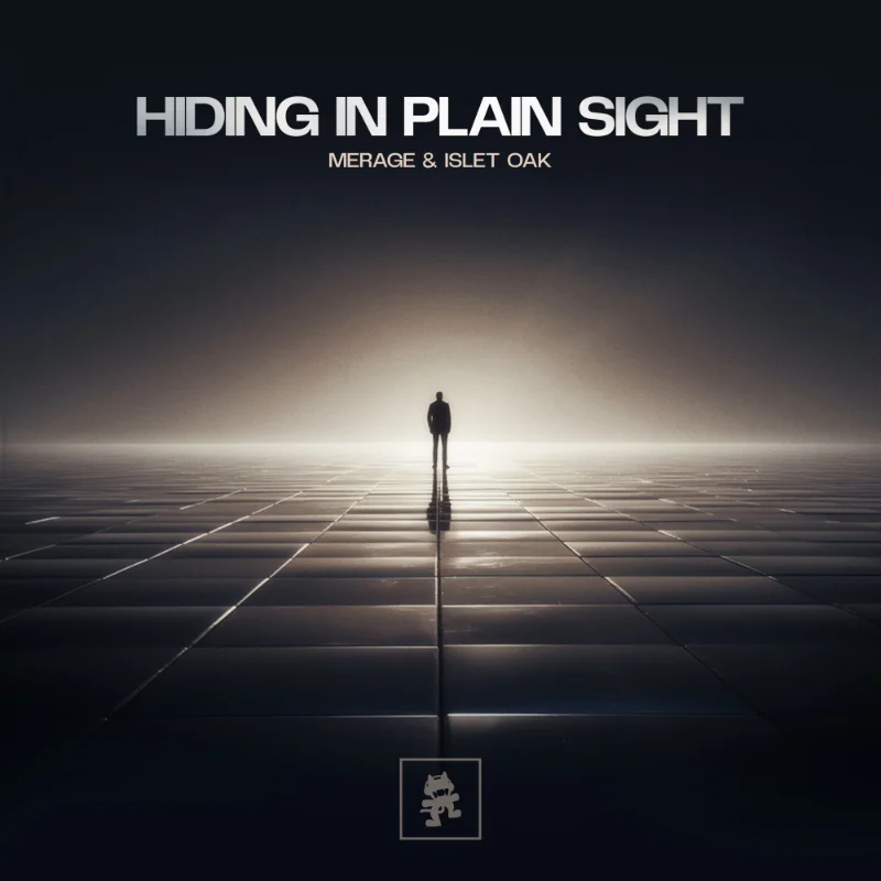 Hiding in Plain Sight – Single
