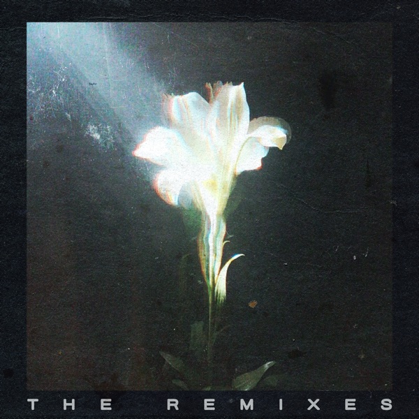 Light That Leads Me (The Remixes) – EP