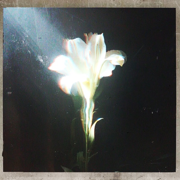Light That Leads Me – Single