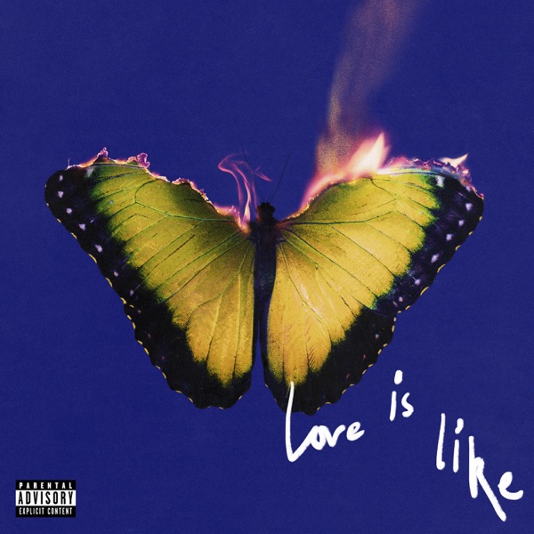 All Night (From “Love Is Like”)