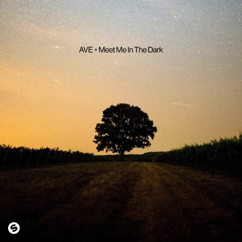 Meet Me In The Dark – Single