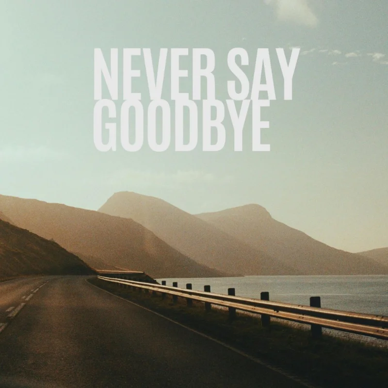 Never Say Goodbye – Single