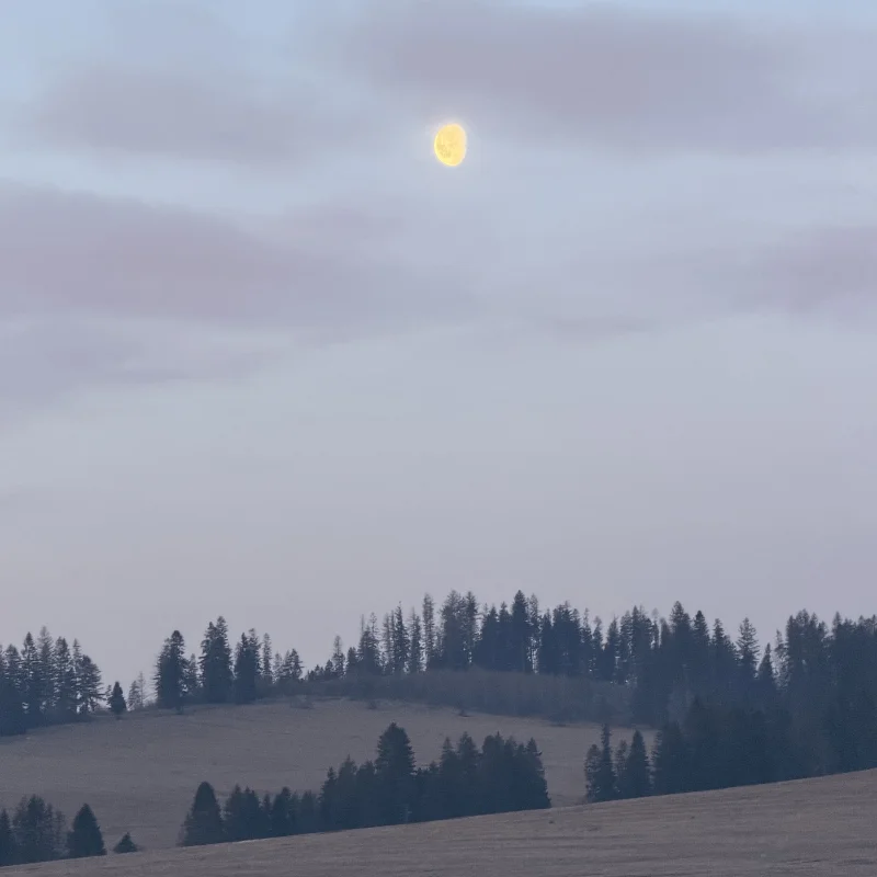 Tatras – Single