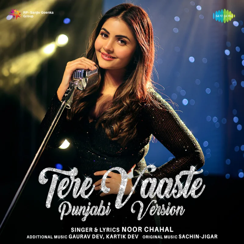 Tere Vaaste (Punjabi Version) – Single