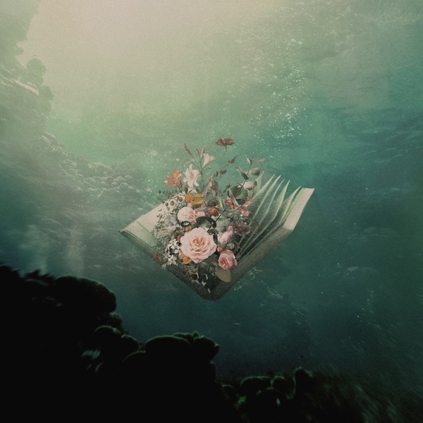 Urban Flora: Lost Sequels – Single