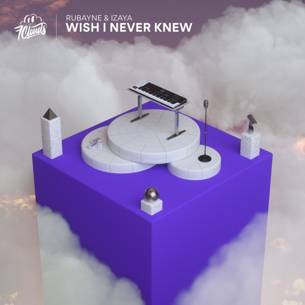 Wish I Never Knew – Single