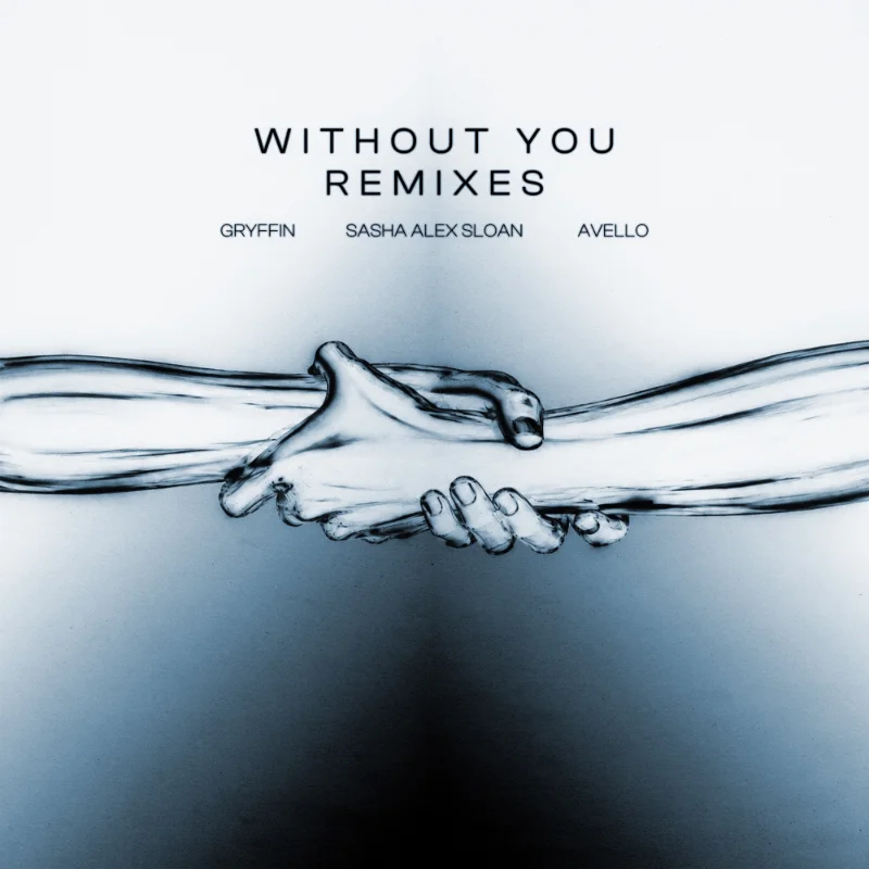 Without You (Heads or Tails Remix) [feat. Sasha Alex Sloan]