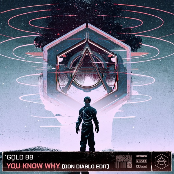 You Know Why (Don Diablo Edit) - Single by Gold 88